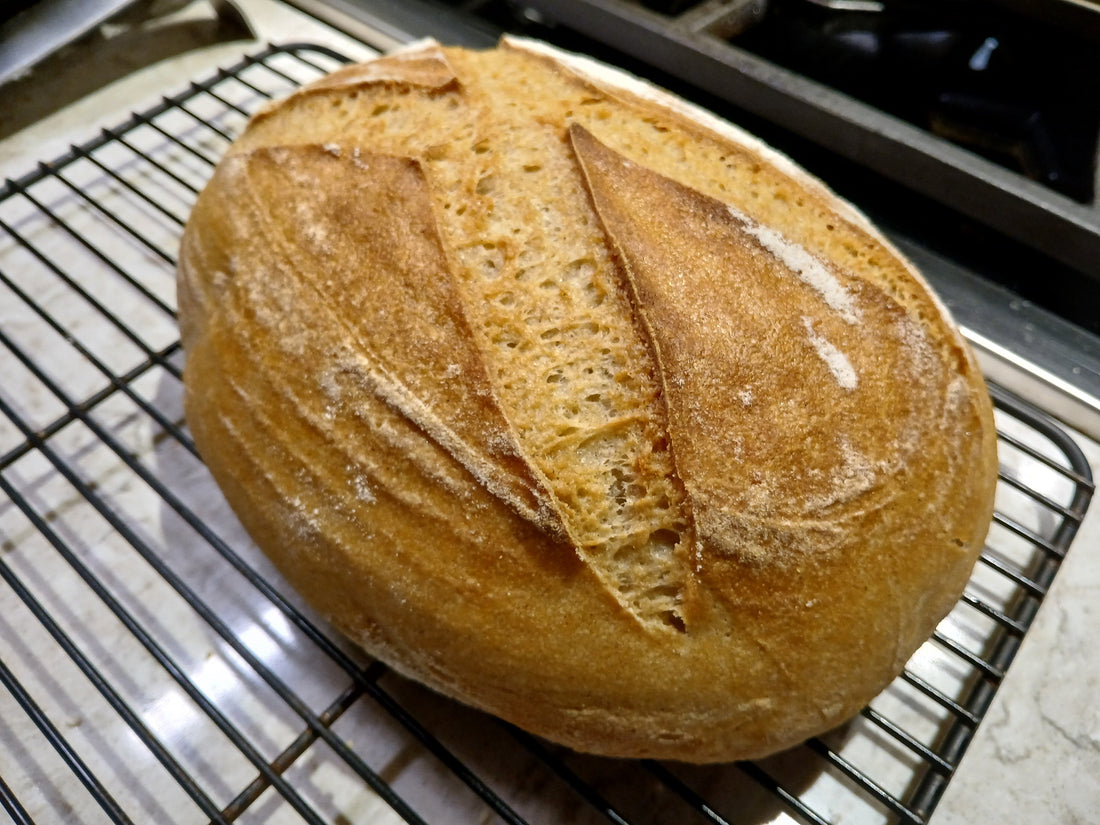 Why Gluten‑Free Bread Falls Apart — And How Five Frogs Farm Fixes It