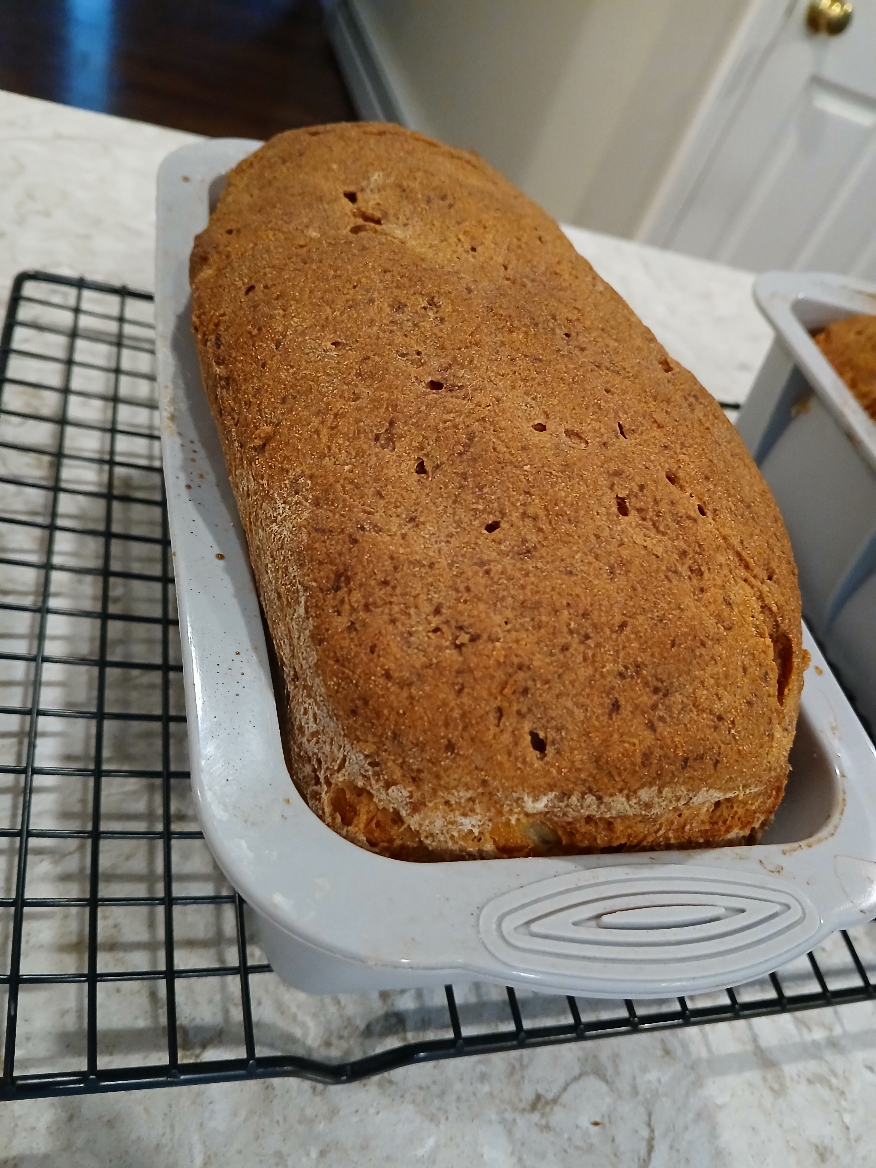 Celiac-Safe Gluten-Free Bread | White, Sourdough & More