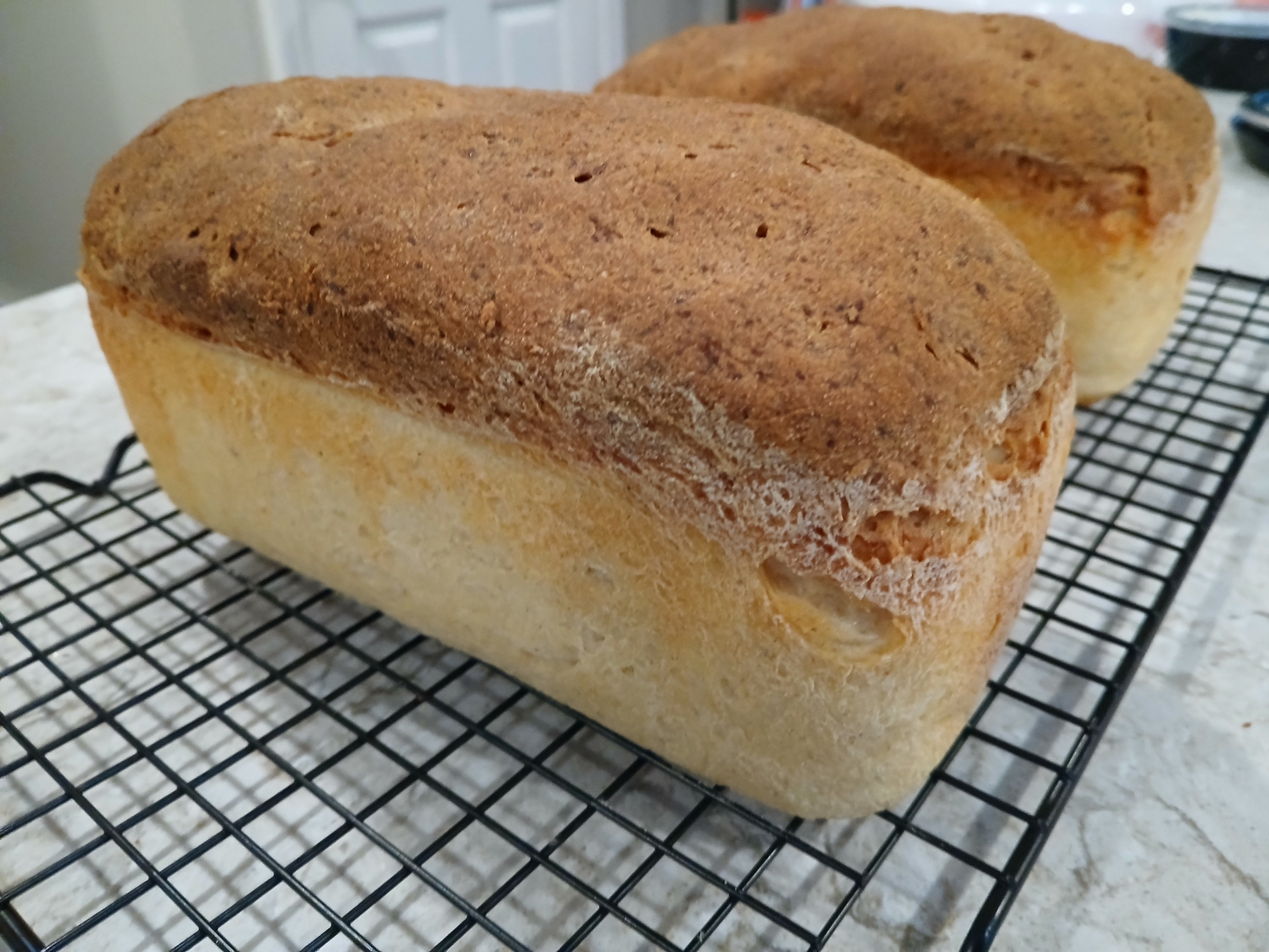 Celiac-Safe Gluten-Free Bread | White, Sourdough & More