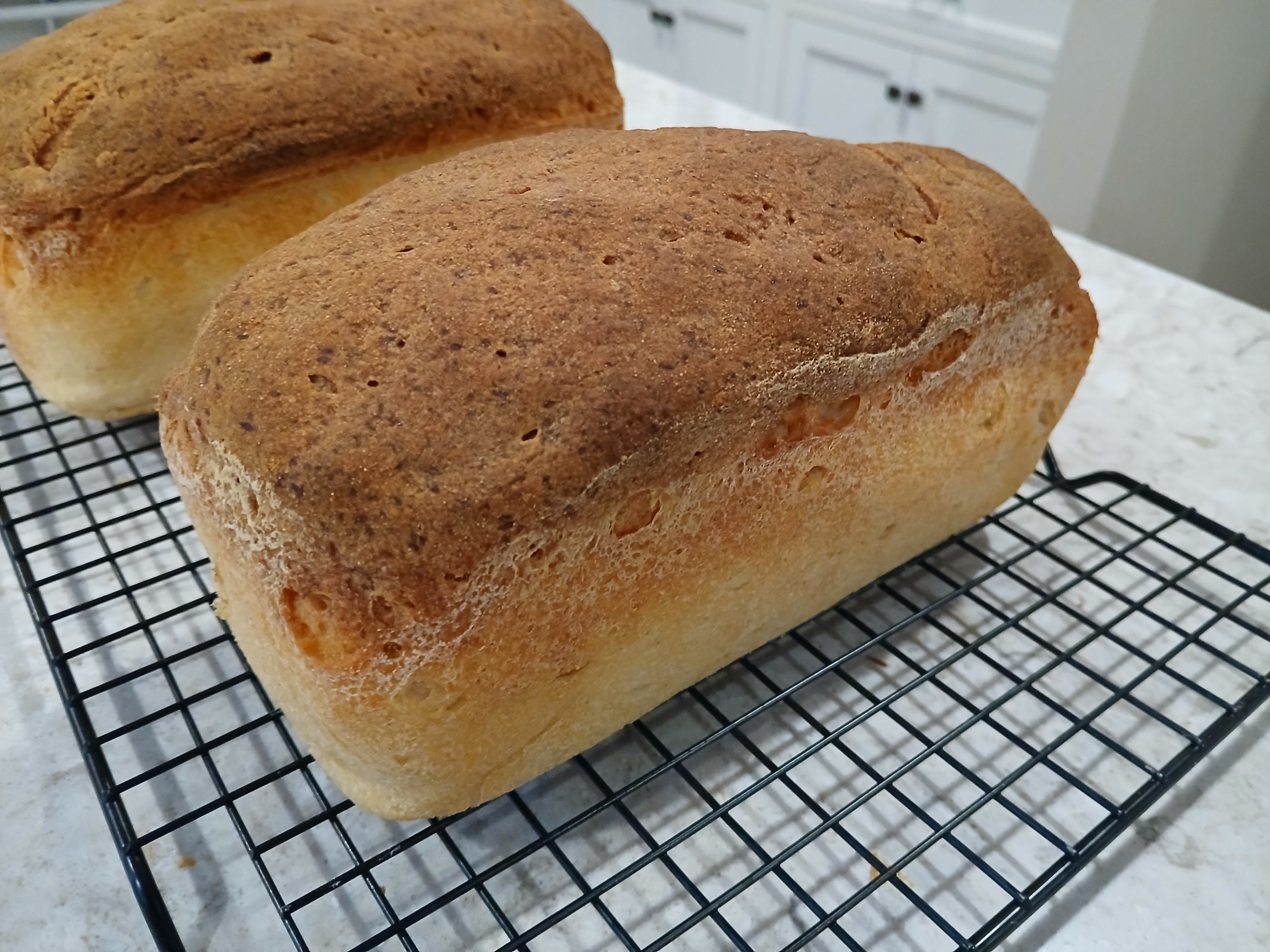 Celiac-Safe Gluten-Free Bread | White, Sourdough & More