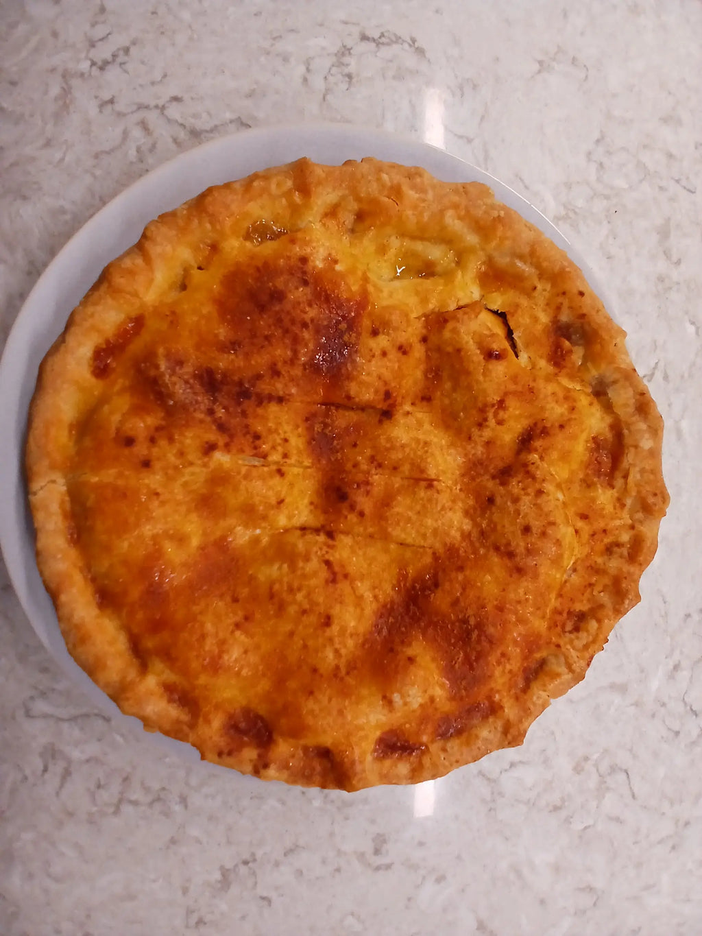 Gluten-Free Apple Pie Hot out of the oven