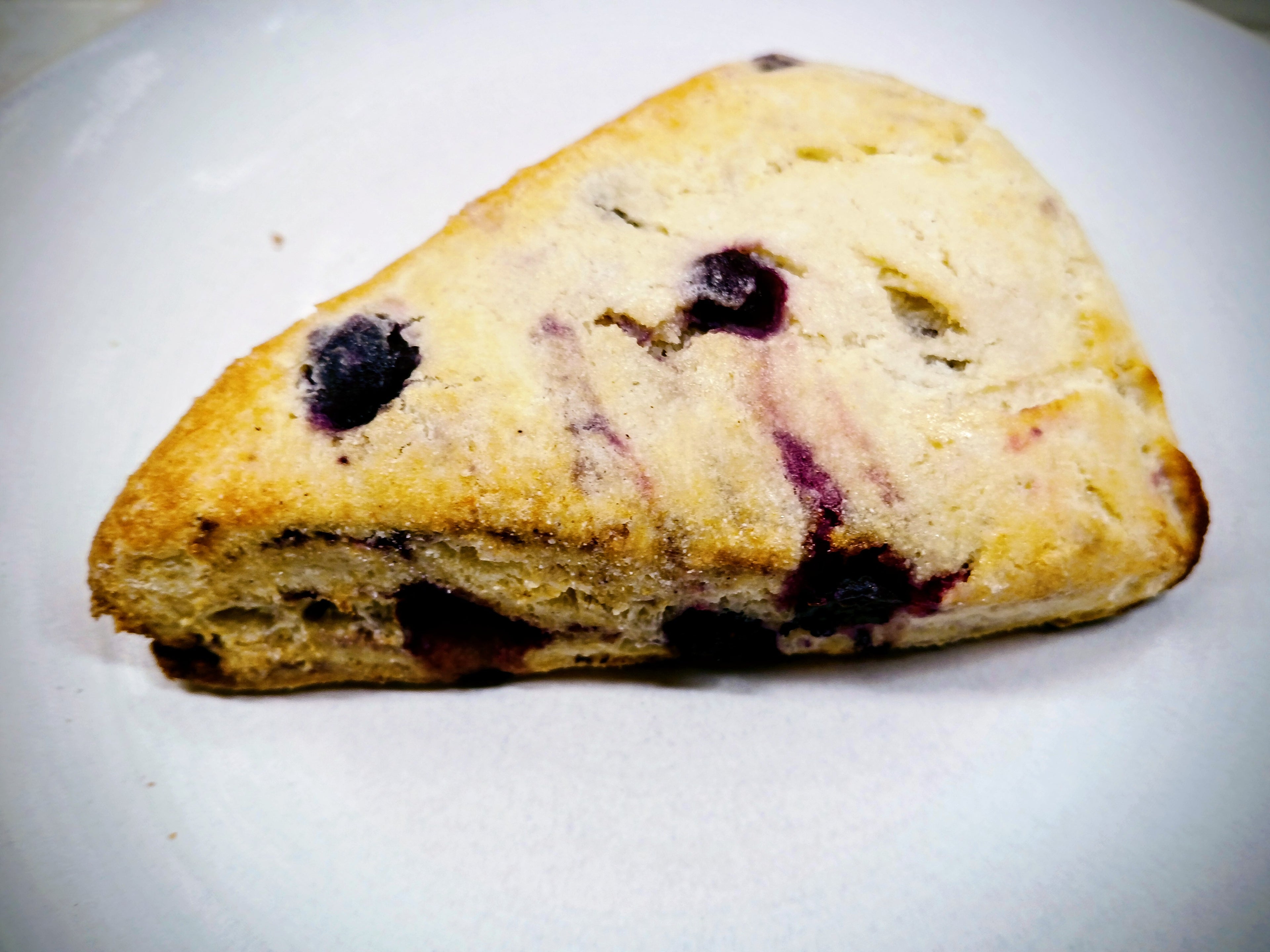 GF Blueberry scone on a white plate