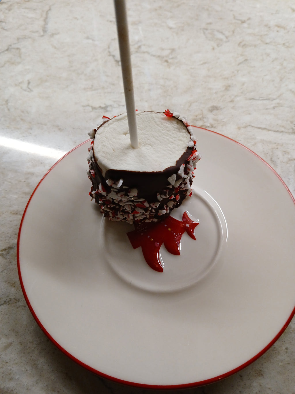 Gluten-Free Peppermint Chocolate Covered Marshmallow