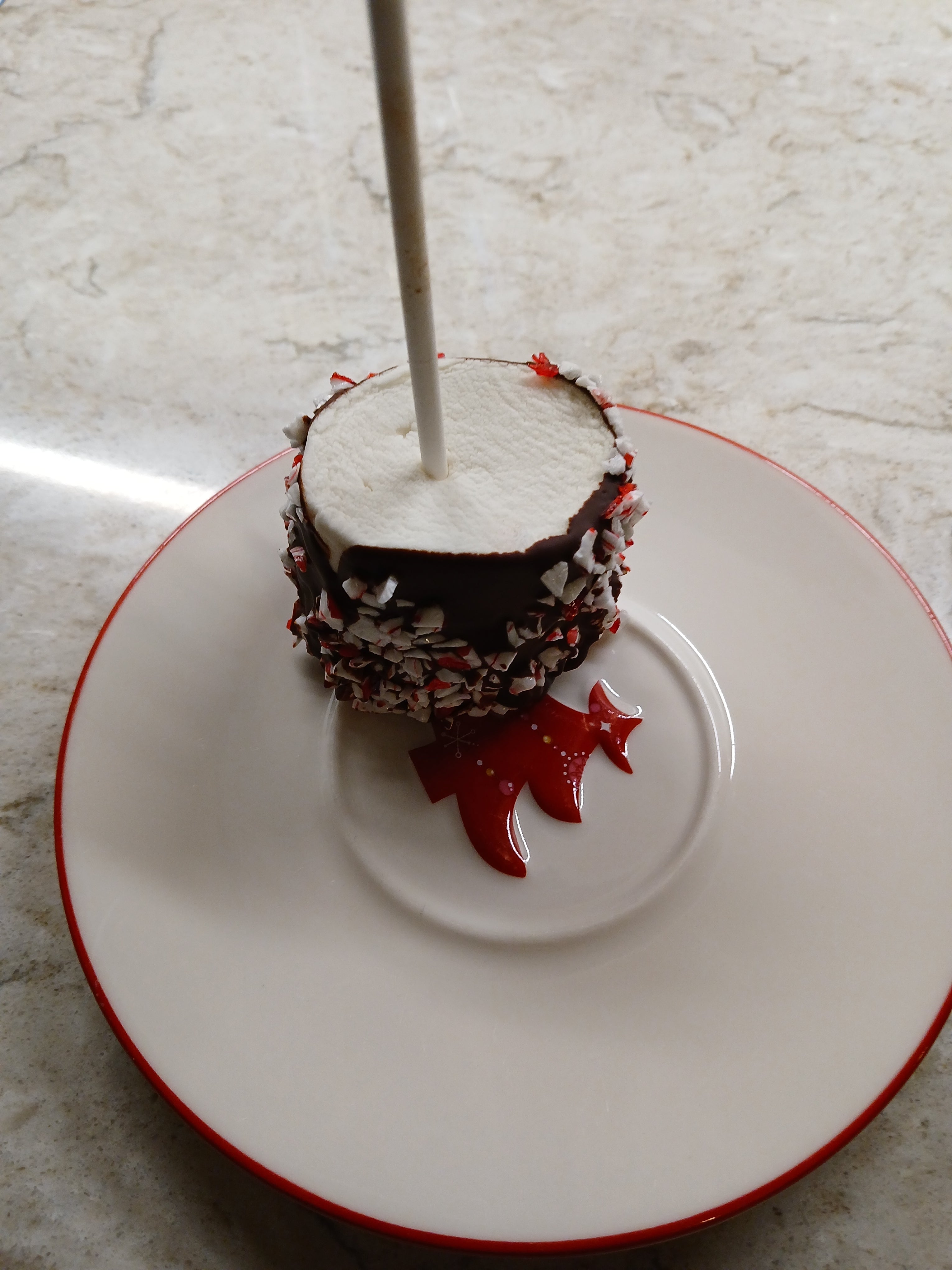 Gluten-Free Peppermint Chocolate Covered Marshmallow