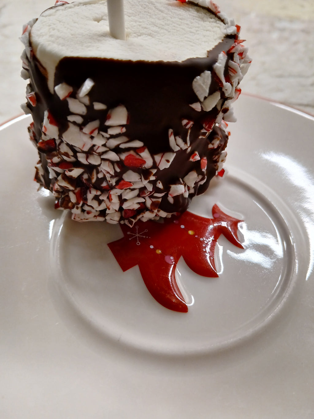 Gluten-Free Peppermint Chocolate Covered Marshmallow