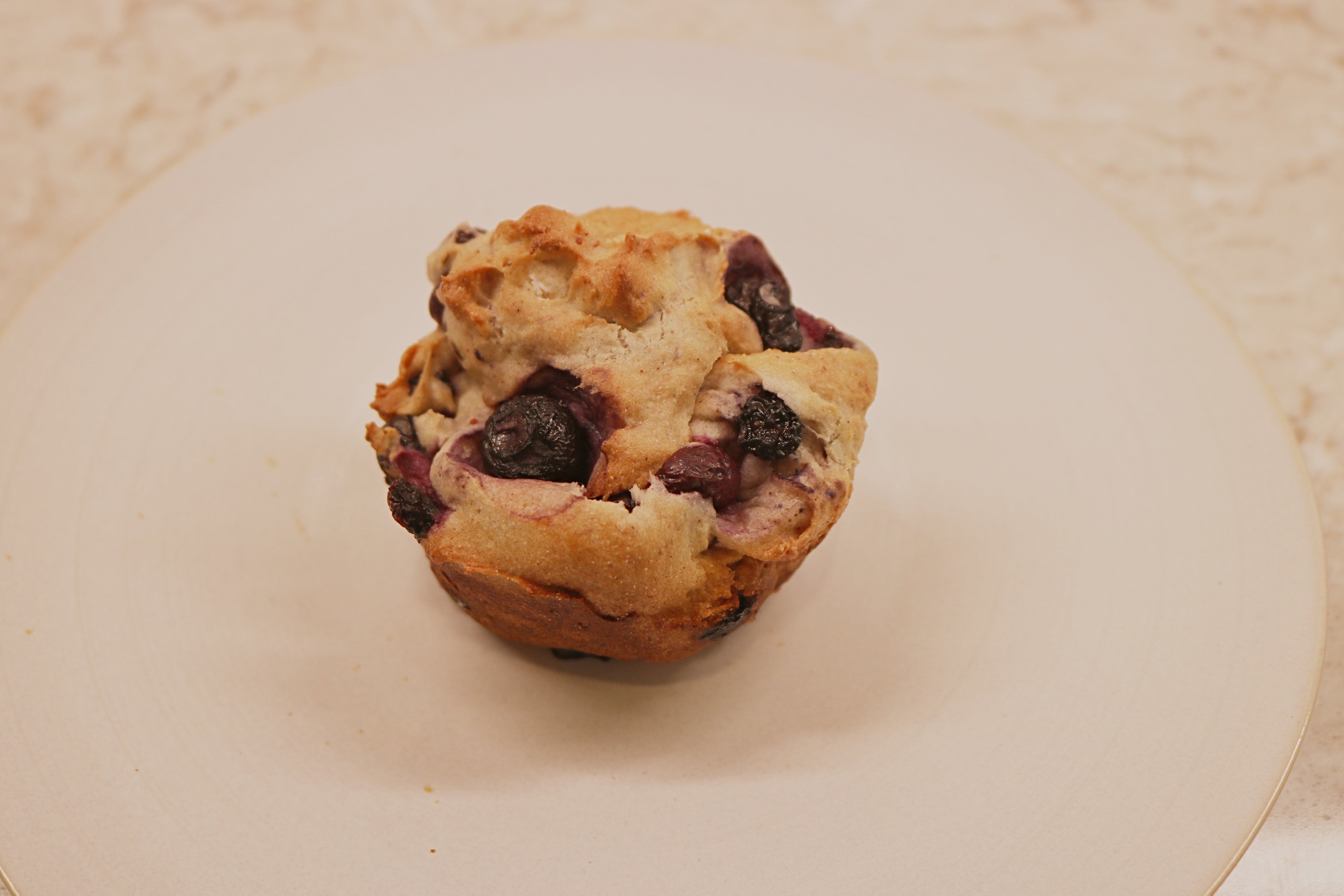 Blueberry muffin on a white plate