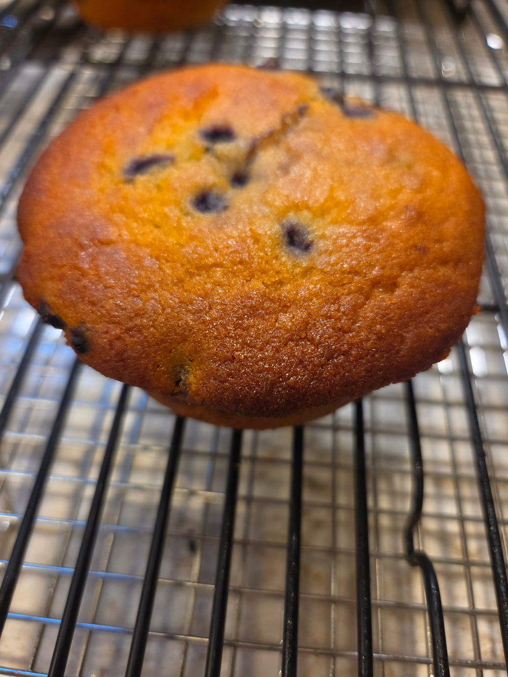 Gluten-Free Blueberry Muffins