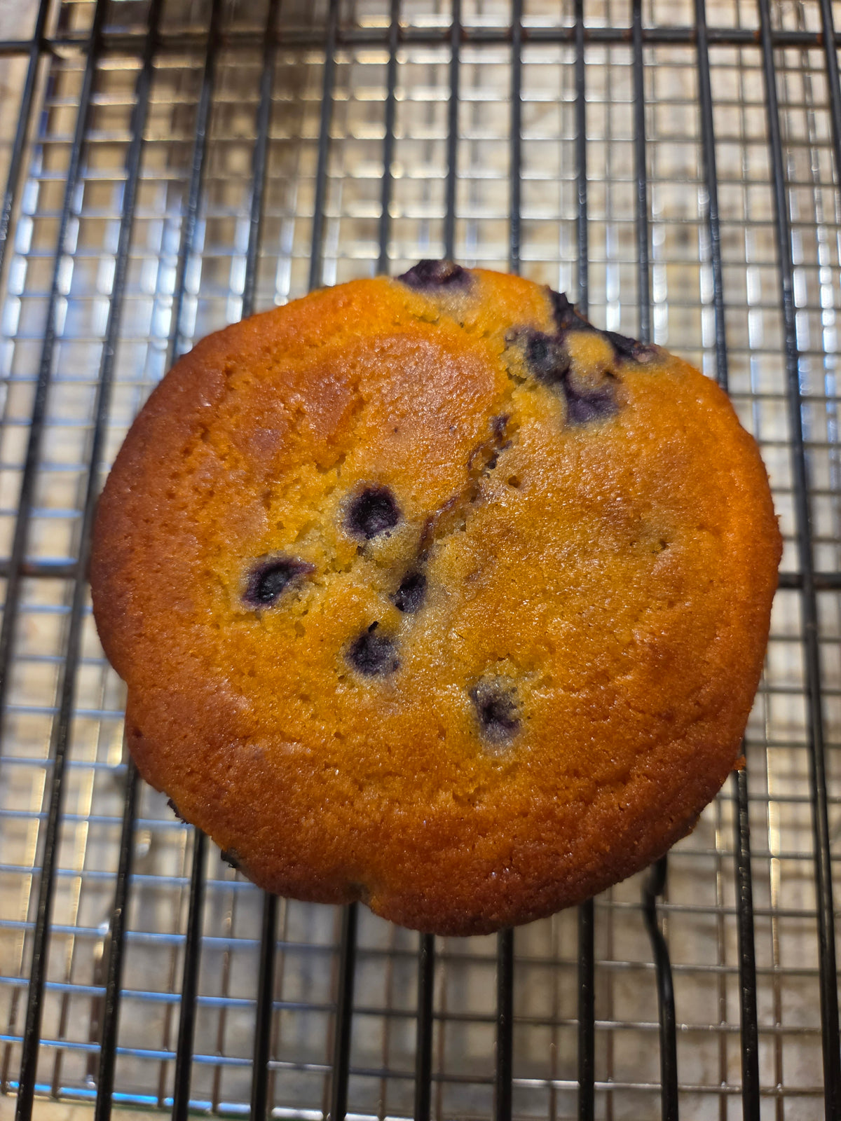 Gluten-Free Blueberry Muffins
