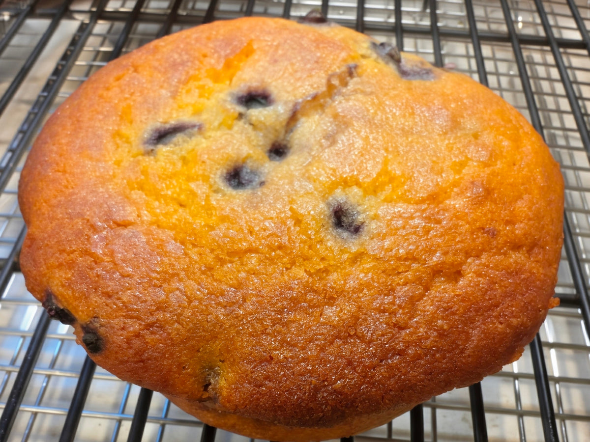 Gluten-Free Blueberry Muffins